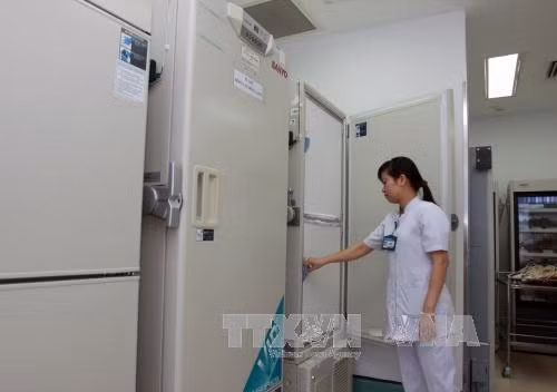Khu vực lưu trữ và bảo quản các túi hồng cầu đông lạnh tại ngân hàng máu Bệnh viện Truyền máu – huyết học Thành phố Hồ Chí Minh. Ảnh: Phương Vy- TTXVN