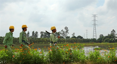 Công nhân đội đường dây Truyền tải Điện Mỹ Tho (Công ty Truyền tải Điện 4) kiểm tra hành lang tuyến. Ảnh (tư liệu) Công nhân đội đường dây Truyền tải Điện Mỹ Tho (Công ty Truyền tải Điện 4) kiểm tra hành lang tuyến. Ảnh (tư liệu)
