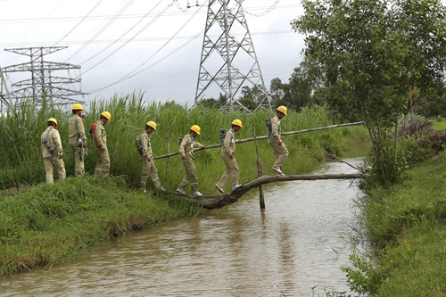 Công nhân đội đường dây Truyền tải Điện Mỹ Tho (Công ty Truyền tải Điện 4) kiểm tra hành lang tuyến. Công nhân đội đường dây Truyền tải Điện Mỹ Tho (Công ty Truyền tải Điện 4) kiểm tra hành lang tuyến.
