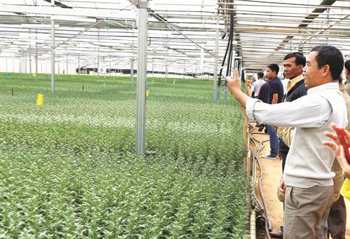 Đồng bào dân tộc ở thị trấn Đ’Ran, huyện Đơn Dương, thu hoạch quýt - một trong những đặc sản của địa phương này Nông dân huyện Đơn Dương đi tham quan, học hỏi kinh nghiệm trồng hoa công nghệ cao Những năm gần đây, chăn nuôi bò sữa đã mang lại lợi nhuận cao cho bà con nông dân trong huyện Người dân Đơn Dương tích cực hiến đất, đóng góp tiền của và sức lao động để xây dựng quê hương ngày càng phát triển Nhiều hộ nông dân trong huyện đã mạnh dạn đầu tư, áp dụng công nghệ cao, mang lại hiệu quả kinh tế, tạo nên phong trào ứng dụng công nghệ cao trong sản xuất nông nghiệp Công tác giáo dục ngày càng được chuẩn hoá giúp huyện Đơn Dương hoàn thành tiêu chí giáo dục trong xây dựng nông thôn mới Huyện Đơn Dương xây dựng nông thôn mới gắn với bảo tồn văn hóa dân tộc trên địa bàn