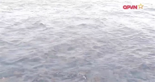 Vết dầu loang ở khu vực tìm kiếm. (Nguồn: QPVN)