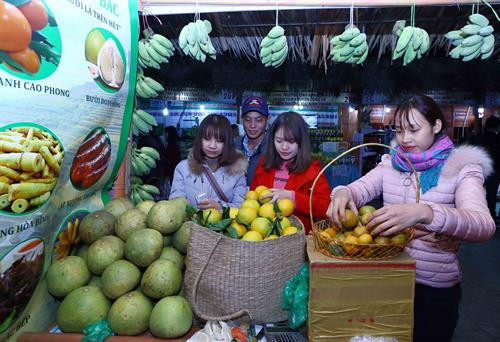 Khách tham quan và mua sắm tại gian hàng nông sản trong tối khai mạc. Ảnh: Quang Quyết - TTXVN Khách tham quan và mua sắm tại gian hàng nông sản trong tối khai mạc. Ảnh: Quang Quyết - TTXVN