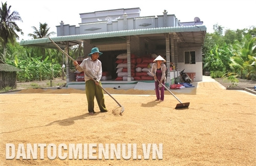 Chính sách hỗ trợ đất ở, đất sản xuất đã giúp cho bà con đồng bào dân tộc ở xã Xà Phiên, huyện Long Mỹ có được chỗ ở ổn định, có đất sản xuất để trồng trọt, chăn nuôi