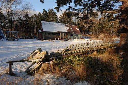 Trạm kiểm soát Filatovsky trong Khu bảo tồn Kurilsky.