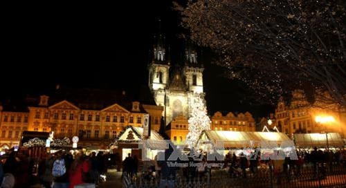 Quảng trường Staromestske lúc đèn trên cây thông Hoàng hậu được bật sáng. Ảnh: Trần Quang Vinh - TTXVN