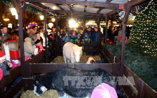 Chuồng ngựa, dê và cừu thu hút các em nhỏ. Ảnh: Trần Quang Vinh - TTXVN
