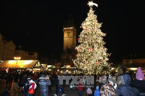 Cây thông Giáng sinh Hoàng hậu cao nhất và được trang trí đẹp nhất ở CH Séc. Ảnh: Trần Quang Vinh - TTXVN