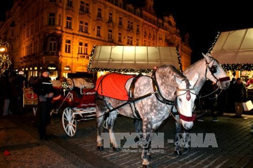 Cỗ xe hai ngựa kéo gợi không khí cổ xưa. Ảnh: Trần Quang Vinh - TTXVN