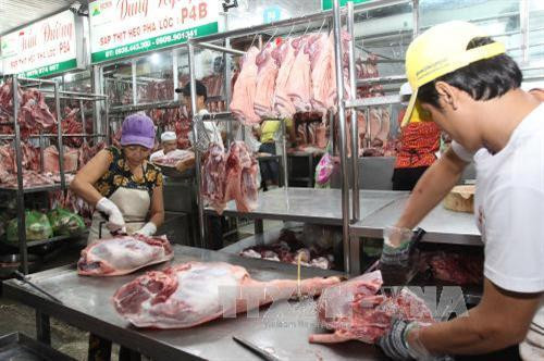 Kiểm tra heo có đeo vòng nhận diện và có đầy đủ thông tin truy xuất nguồn gốc vào chợ Hóc Môn. Ảnh: Thanh Vũ-TTXVN Kiểm tra heo có đeo vòng nhận diện và có đầy đủ thông tin truy xuất nguồn gốc vào chợ Hóc Môn. Ảnh: Thanh Vũ-TTXVN