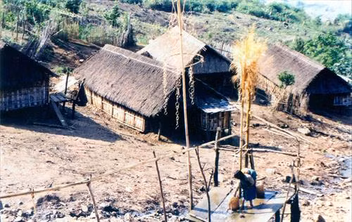 Một ngôi làng của người Cadoong ở Quảng Nam. Ảnh: Nguyễn Văn Sơn