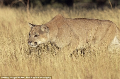 Ảnh minh họa. (Nguồn: Getty)