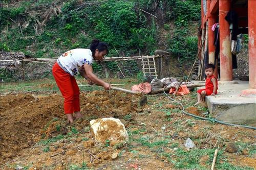 Người dân tộc người Đan Lai làm đất để trồng rau phục vụ bữa ăn hàng ngày. Ảnh: Tá Chuyên – TTXVN Người dân tộc người Đan Lai làm đất để trồng rau phục vụ bữa ăn hàng ngày. Ảnh: Tá Chuyên – TTXVN