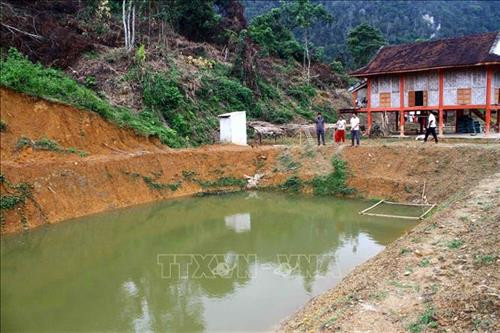 Nhiều hộ dân tộc người Đan Lai đã biết đào ao thả cá để ổn đinh cuộc sống. Ảnh: Tá Chuyên – TTXVN Nhiều hộ dân tộc người Đan Lai đã biết đào ao thả cá để ổn đinh cuộc sống. Ảnh: Tá Chuyên – TTXVN