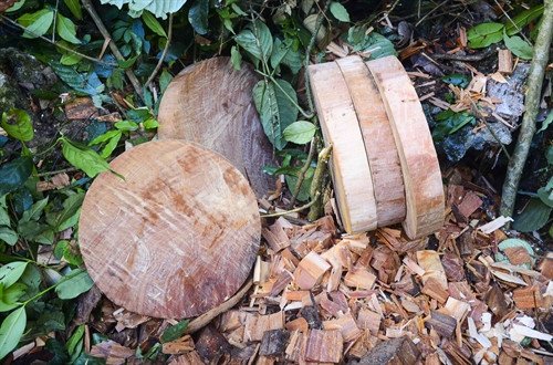 Những chiếc thớt bằng gỗ nghiến được cắt xẻ, đẽo gọt hoàn thiện chờ mang đi tiêu thụ. Những chiếc thớt bằng gỗ nghiến được cắt xẻ, đẽo gọt hoàn thiện chờ mang đi tiêu thụ.