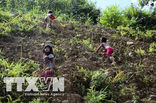 Nhiều đứa trẻ ở gia đình đông con ở vùng cao không được chăm lo đầy đủ về cả tinh thần lẫn vật chất, chất lượng cuộc sống thấp. Ảnh: Văn Dũng -TTXVN Nhiều đứa trẻ ở gia đình đông con ở vùng cao không được chăm lo đầy đủ về cả tinh thần lẫn vật chất, chất lượng cuộc sống thấp. Ảnh: Văn Dũng -TTXVN