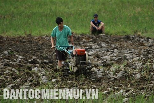 Nhờ được chuyển giao công nghệ, đồng bào xã Chu Hương tự sửa chữa máy nông nghiệp phục vụ sản xuất Khai thác và chế biến lâm sản tăng thêm thu nhập ở thôn Nà Đúc 2, xã Địa Linh Cán bộ khuyến nông huyện hướng dẫn đồng bào thôn Nà Lìn, xã Địa Linh chăm sóc cây hàng hóa mướp đắng rừng Đồng bào xã Cao Trĩ đưa máy móc vào làm đất sản xuất nông nghiệp Đồng bào bản Phiêng Phường xã Mỹ Phương thu hoạch ngô vụ xuân Cơ sở sản xuất chè của hợp tác xã chè Mỹ Phương Tư thương thu mua dê giống tại nhà anh Nông Văn Tiệp thôn Nà Phiêng, xã Mỹ Phương Bà con nông dân xã Chu Hương cấy vụ lúa hè thu Bà con thôn Nà Đông sinh hoạt tại nhà văn hóa xã Chu Hương Đường vào thôn Nà Đông, xã Chu Hương được làm bằng nguồn vốn chương trình 30a