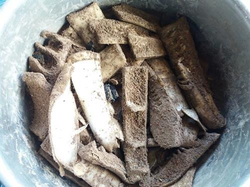 Những ngày này người Khơ Mú ở xã vùng cao Bảo Thắng, Kỳ Sơn (Nghệ An) rủ nhau vào rừng hái măng luồng để chế biến món măng trộn tro bếp. Ảnh: Lữ Phú Đây là loại măng có vị ngọt và có màu sáng hơn các loại măng khác. Để hái được măng người dân phải mất cả nửa ngày... Ảnh: Lữ Phú Quy trình chế biến biến món ăn này cũng khá công phu. Ảnh: Lữ Phú Sau khi rửa sạch, người dân cắt nhỏ măng thành từng miếng, sau đó ngâm nước 1 đến 2 ngày, cho măng có vị chua và giảm vị hăng của măng, sau đó đến công đoạn trộn với tro bếp. Ảnh: Lữ Phú Đây là công đoạn quan trọng nhất để tạo hương vị cho món ăn, cũng là cách bảo quản măng hữu hiệu, loại tro dùng để trộn phải là tro mun mới đun, còn ở trong bếp lửa. Ảnh: Lữ Phú Sau khi trộn tro được 10 phút, măng rửa sạch, đập nát và thái thành từng miếng nhỏ. Ảnh: Lữ Phú Chị Xeo Thị Bún, bản Cha Ka 1, xã Bảo Thắng cho biết: Măng sau khi được ngâm nước và trộn tro bếp thì có thể chế biến được rất nhiều món ăn, có thể xào với nhiều loại thịt khác nhau, cũng có thể nấu canh. Trong ảnh là món măng xào thịt bò. Ảnh: Lữ Phú Cũng có thể nấu canh với tro của lá sả sau khi đốt cháy. Ảnh: Lữ Phú Với tập quán du canh du cư trước đây của đồng bào Khơ Mú thì việc bảo quản và dự trữ thức ăn gặp rất nhiều khó khăn. Tuy nhiên đồng bào đã biết sử dụng phương pháp hun khói, thịt phơi gác bếp hay là măng trộn tro bếp để bảo quản thực phẩm được lâu dài qua mùa sản xuất nương rẫy. Trước đây khi nguồn thực phẩm còn khan hiếm, thì món măng trộn tro bếp là nguồn thực phẩm chính giúp đồng bào vượt qua đói khát vào mùa giáp hạt. . Ảnh: Lữ Phú Những ngày này người Khơ Mú ở xã vùng cao Bảo Thắng, Kỳ Sơn (Nghệ An) rủ nhau vào rừng hái măng luồng để chế biến món măng trộn tro bếp. Ảnh: Lữ Phú Đây là loại măng có vị ngọt và có màu sáng hơn các loại măng khác. Để hái được măng người dân phải mất cả nửa ngày... Ảnh: Lữ Phú Quy trình chế biến biến món ăn này cũng khá công phu. Ảnh: Lữ Phú Sau khi rửa sạch, người dân cắt nhỏ măng thành từng miếng, sau đó ngâm nước 1 đến 2 ngày, cho măng có vị chua và giảm vị hăng của măng, sau đó đến công đoạn trộn với tro bếp. Ảnh: Lữ Phú Đây là công đoạn quan trọng nhất để tạo hương vị cho món ăn, cũng là cách bảo quản măng hữu hiệu, loại tro dùng để trộn phải là tro mun mới đun, còn ở trong bếp lửa. Ảnh: Lữ Phú Sau khi trộn tro được 10 phút, măng rửa sạch, đập nát và thái thành từng miếng nhỏ. Ảnh: Lữ Phú Chị Xeo Thị Bún, bản Cha Ka 1, xã Bảo Thắng cho biết: Măng sau khi được ngâm nước và trộn tro bếp thì có thể chế biến được rất nhiều món ăn, có thể xào với nhiều loại thịt khác nhau, cũng có thể nấu canh. Trong ảnh là món măng xào thịt bò. Ảnh: Lữ Phú Cũng có thể nấu canh với tro của lá sả sau khi đốt cháy. Ảnh: Lữ Phú Với tập quán du canh du cư trước đây của đồng bào Khơ Mú thì việc bảo quản và dự trữ thức ăn gặp rất nhiều khó khăn. Tuy nhiên đồng bào đã biết sử dụng phương pháp hun khói, thịt phơi gác bếp hay là măng trộn tro bếp để bảo quản thực phẩm được lâu dài qua mùa sản xuất nương rẫy. Trước đây khi nguồn thực phẩm còn khan hiếm, thì món măng trộn tro bếp là nguồn thực phẩm chính giúp đồng bào vượt qua đói khát vào mùa giáp hạt. . Ảnh: Lữ Phú