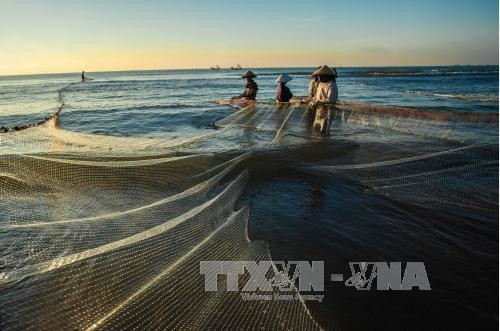 Kéo rùng - nghề truyền thống độc đáo của ngư dân xứ Thanh ảnh 1