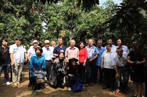 Phó Chủ tịch Thường trực UBND Thành phố Hà Nội Nguyễn Văn Sửu (thứ hai, bên trái) yêu cầu ngành nông nghiệp thành phố cùng các địa phương cần đẩy mạnh phát triển sản phẩm nhãn chín muộn, nâng cao cả sản lượng và chất lượng, để xuất khẩu thêm nhiều thị trường khác trên thế giới. Ảnh: Lê Lan Hương Phó Chủ tịch Thường trực UBND Thành phố Hà Nội Nguyễn Văn Sửu chụp ảnh lưu niệm với Đoàn cán bộ Hội đồng xúc tiến Nông Lâm Ngư nghiệp Nhật Bản nhân dịp đoàn đến thăm Trang trại trồng nhãn chín muộn của hộ gia đình ông Trần Văn Bảy – Phó Chủ tịch Hội sản xuất và kinh doanh nhãn chín muộn huyện Hoài Đức, Hà Nội. Ảnh: Lê Lan Hương Lãnh đạo địa phương và Lãnh đạo Sở Nông nghiệp và Phát triển nông thôn Hà Nội đánh giá chất lượng sản phẩm nhãn chín muộn của xã Đại Thành, huyện Quốc Oai, Hà Nội. Ảnh: Lê Lan Hương Lãnh đạo địa phương và Lãnh đạo Sở Nông nghiệp và Phát triển nông thôn Hà Nội đánh giá chất lượng sản phẩm nhãn chín muộn của xã Đại Thành, huyện Quốc Oai, Hà Nội. Ảnh: Lê Lan Hương Lãnh đạo địa phương và Lãnh đạo Sở Nông nghiệp và Phát triển nông thôn Hà Nội đánh giá chất lượng sản phẩm nhãn chín muộn của xã Đại Thành, huyện Quốc Oai, Hà Nội. Ảnh: Lê Lan Hương