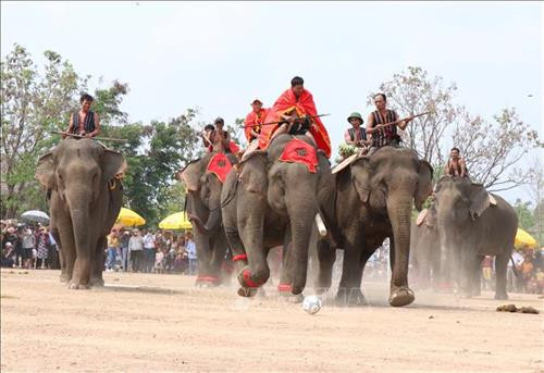 Pha tranh chấp bóng trong phần thi voi đá bóng. Ảnh: Tuấn Anh - TTXVN Pha tranh chấp bóng trong phần thi voi đá bóng. Ảnh: Tuấn Anh - TTXVN Pha khống chế bóng tốt của “vận động viên voi” trong phần thi voi đá bóng. Ảnh: Tuấn Anh - TTXVN Phần thi voi chạy đua tại Hội voi. Ảnh: Tuấn Anh - TTXVN Voi tăng tốc cán đích. Ảnh: Tuấn Anh - TTXVN Voi tăng tốc cán đích. Ảnh: Tuấn Anh - TTXVN Voi tăng tốc cán đích. Ảnh: Tuấn Anh - TTXVN Voi dự tiệc “bufet” sau phần thi chạy đua. Ảnh: Tuấn Anh - TTXVN Pha tranh chấp bóng trong phần thi voi đá bóng. Ảnh: Tuấn Anh - TTXVN Pha tranh chấp bóng trong phần thi voi đá bóng. Ảnh: Tuấn Anh - TTXVN Pha khống chế bóng tốt của “vận động viên voi” trong phần thi voi đá bóng. Ảnh: Tuấn Anh - TTXVN Phần thi voi chạy đua tại Hội voi. Ảnh: Tuấn Anh - TTXVN Voi tăng tốc cán đích. Ảnh: Tuấn Anh - TTXVN Voi tăng tốc cán đích. Ảnh: Tuấn Anh - TTXVN Voi tăng tốc cán đích. Ảnh: Tuấn Anh - TTXVN Voi dự tiệc “bufet” sau phần thi chạy đua. Ảnh: Tuấn Anh - TTXVN