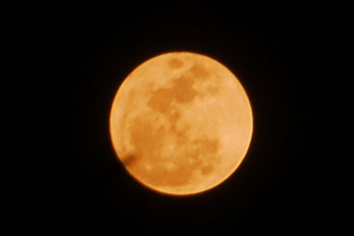 Hình ảnh siêu trăng lúc 20h55 tại Tp. Hồ Chí Minh. Ảnh: Mạnh Linh - TTXVN Hình ảnh siêu trăng lúc 20h55 tại Tp. Hồ Chí Minh. Ảnh: Mạnh Linh - TTXVN