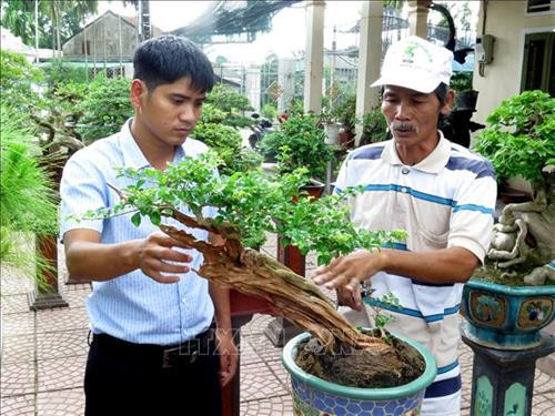 Nghề trồng, tạo dáng cây cảnh ở xã Hành Đức. Ảnh: Phước Ngọc-TTXVN Nghề trồng, tạo dáng cây cảnh ở xã Hành Đức. Ảnh: Phước Ngọc-TTXVN