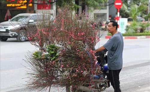 Những cành đào đã lốm đốm ra hoa, phục vụ khách chơi đào sớm. Ảnh: Thành Đạt - TTXVN Dự báo đào Tết năm nay nở muộn, người trồng đào phải rất vất vả chăm sóc để điều chỉnh hoa nở đúng dịp Tết. Ảnh: Thành Đạt - TTXVN Còn gần 1 tháng nữa mới đến Tết, nhưng nhiều gia đình đã mang đào ra phố Lạc Long Quân để bán. Ảnh: Thành Đạt - TTXVN Giống đào "Thất thốn" rất hiếm có giá vài chục triệu, có cây lên đến trăm triệu. Ảnh: Thành Đạt - TTXVN Đa phần các vườn đào Nhật Tân vẫn chưa ra hoa. Ảnh: Thành Đạt - TTXVN Đào Tết xuống phố sớm trên đường Lạc Long Quân. Ảnh: Thành Đạt - TTXVN Trên đường Lạc Long Quân một số chủ vườn đã bày bán đào Tết. Ảnh: Thành Đạt - TTXVN Dự báo đào Tết năm nay nở muộn, người trồng đào phải rất vất vả chăm sóc để điều chỉnh hoa nở đúng dịp Tết. Ảnh: Thành Đạt - TTXVN Những cành đào đã lốm đốm ra hoa, phục vụ khách chơi đào sớm. Ảnh: Thành Đạt - TTXVN Dự báo đào Tết năm nay nở muộn, người trồng đào phải rất vất vả chăm sóc để điều chỉnh hoa nở đúng dịp Tết. Ảnh: Thành Đạt - TTXVN Còn gần 1 tháng nữa mới đến Tết, nhưng nhiều gia đình đã mang đào ra phố Lạc Long Quân để bán. Ảnh: Thành Đạt - TTXVN Giống đào "Thất thốn" rất hiếm có giá vài chục triệu, có cây lên đến trăm triệu. Ảnh: Thành Đạt - TTXVN Đa phần các vườn đào Nhật Tân vẫn chưa ra hoa. Ảnh: Thành Đạt - TTXVN Đào Tết xuống phố sớm trên đường Lạc Long Quân. Ảnh: Thành Đạt - TTXVN Trên đường Lạc Long Quân một số chủ vườn đã bày bán đào Tết. Ảnh: Thành Đạt - TTXVN Dự báo đào Tết năm nay nở muộn, người trồng đào phải rất vất vả chăm sóc để điều chỉnh hoa nở đúng dịp Tết. Ảnh: Thành Đạt - TTXVN