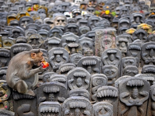 25 bức ảnh nhận "bão like" của năm ảnh 17