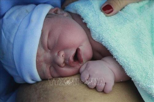 Những công dân đầu tiên của năm Canh Tý. Ảnh: TTXVN Những công dân đầu tiên của năm Canh Tý. Ảnh: TTXVN