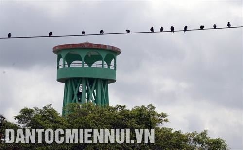 Tháp cao phục vụ khách du lịch ngắm rừng và canh lửa mùa khô ở Vườn quốc gia U Minh Thượng. Ảnh: Lê Huy Hải Tháp cao phục vụ khách du lịch ngắm rừng và canh lửa mùa khô ở Vườn quốc gia U Minh Thượng. Ảnh: Lê Huy Hải