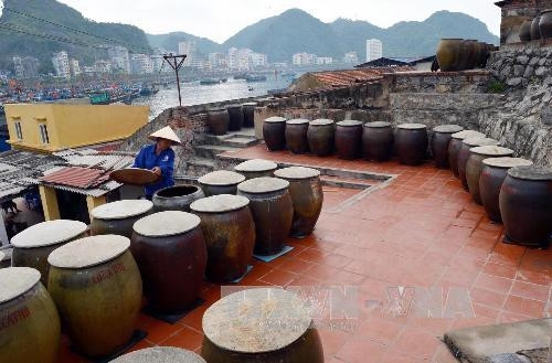 Cơ sở Quang Hải, cơ sở sản xuất nước mắm lớn có uy tín về chất lượng sản phẩm với thương hiệu "Nước mắm Quang Hải" - một trong hai thương hiệu chế biến nước mắm nổi tiếng của Công ty. Ảnh Thanh Hà – TTXVN Cơ sở Quang Hải, cơ sở sản xuất nước mắm lớn có uy tín về chất lượng sản phẩm với thương hiệu "Nước mắm Quang Hải" - một trong hai thương hiệu chế biến nước mắm nổi tiếng của Công ty. Ảnh Thanh Hà – TTXVN