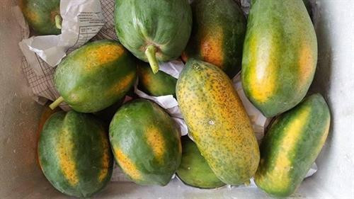 Tuyệt chiêu nhận biết 5 loại quả thường xuyên bị tiêm thuốc kích thích độc hại ảnh 2