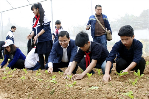 Lãnh đạo Trung ương Đoàn cùng học sinh Trường Dân tộc nội trú Trung học cơ sở huyện Đồng Hỷ tham gia trồng rau an toàn. Ảnh: Thu Hằng - TTXVN Lãnh đạo Trung ương Đoàn cùng học sinh Trường Dân tộc nội trú Trung học cơ sở huyện Đồng Hỷ tham gia trồng rau an toàn. Ảnh: Thu Hằng - TTXVN
