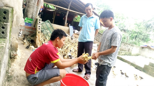“Bà đỡ” của đồng bào nghèo ảnh 3 “Bà đỡ” của đồng bào nghèo ảnh 3