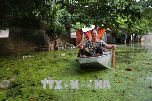 Hằng ngày, người dân xã Nam Phương Tiến phải di chuyển, chung sống trong làn nước và môi trường bị ô nhiễm nghiêm trọng bởi đủ loại chất thải tồn đọng lâu ngày (ảnh chụp ngày 6/8/2018). Ảnh: Thành Đạt – TTXVN Hằng ngày, người dân xã Nam Phương Tiến phải di chuyển, chung sống trong làn nước và môi trường bị ô nhiễm nghiêm trọng bởi đủ loại chất thải tồn đọng lâu ngày (ảnh chụp ngày 6/8/2018). Ảnh: Thành Đạt – TTXVN