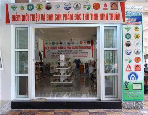 Điểm giới thiệu và bán sản phẩm đặc thù tại Vườn quốc gia Núi Chúa nhằm tạo thuận tiện cho nhu cầu tham quan, mua sắm. Ảnh: Nguyễn Thành - TTXVN