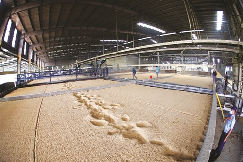 Khu sấy thóc của Công ty trách nhiệm Hữu hạn Thành Tín, một trong những doanh nghiệp có uy tín trong sản xuất các sản phẩm nông nghiệp của tỉnh Sóc Trăng Khu sấy thóc của Công ty trách nhiệm Hữu hạn Thành Tín, một trong những doanh nghiệp có uy tín trong sản xuất các sản phẩm nông nghiệp của tỉnh Sóc Trăng