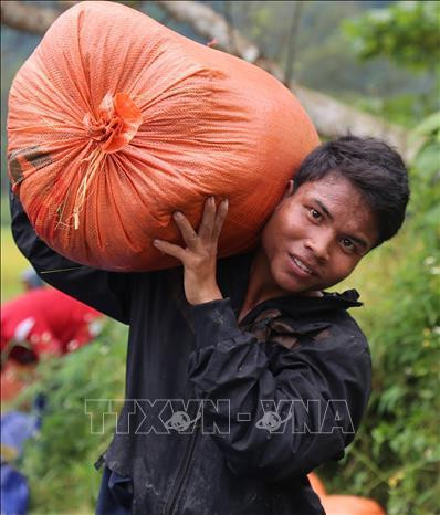 Nông dân Cao Xuân Trường, bản Mò O Ồ Ồ, xã Thượng Hóa, huyện Minh Hóa phấn khởi thu hoạch lúa. Ảnh: TTXVN