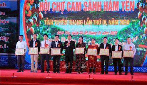 Lãnh đạo huyện Hàm Yên tặng Giấy khen cho các hộ sản xuất cam giỏi. Ảnh: Quang Cường – TTXVN Lãnh đạo huyện Hàm Yên tặng Giấy khen cho các hộ sản xuất cam giỏi. Ảnh: Quang Cường – TTXVN