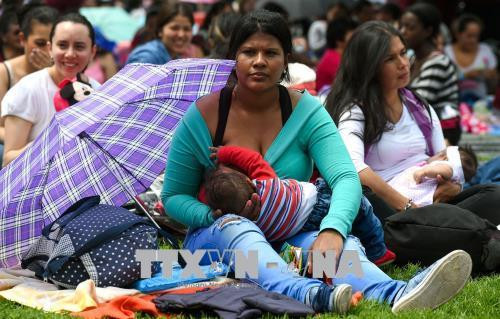 Các bà mẹ cho con bú tại Bogota, Colombia. AFP/TTXVN Các bà mẹ cho con bú tại Bogota, Colombia. AFP/TTXVN