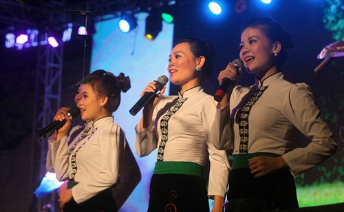 Một tiết mục do các nghệ sỹ biểu diễn tại đêm khai mạc liên hoan. Ảnh: Thế Duyệt- TTXVN