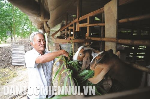 Ông Huỳnh Kỳ Tâm ở ấp Gò Dưa (xã Bình Hiệp, thị xã Kiến Tường) đã hiến khoảng 1500 m2 đất để làm đường xây dựng nông thôn mới; mạnh dạn đầu tư phát triển kinh tế hộ gia đình. Trong ảnh: Mô hình nuôi dê giúp gia đình ông Tâm nâng cao thu nhập, cải thiện đời sống. Ảnh: An Hiếu Nông dân xã Bình Hiệp dự Hội thảo tổng kết mô hình mở rộng ứng dụng công nghệ cao trong nông nghiệp tại Nhà Văn hóa - Thể thao ấp Ông Nhan Đông. Ảnh: An Hiếu Tỉnh Long An chủ trương hình thành vùng sản xuất nông nghiệp công nghệ cao ở khu vực biên giới. Ảnh: An Hiếu