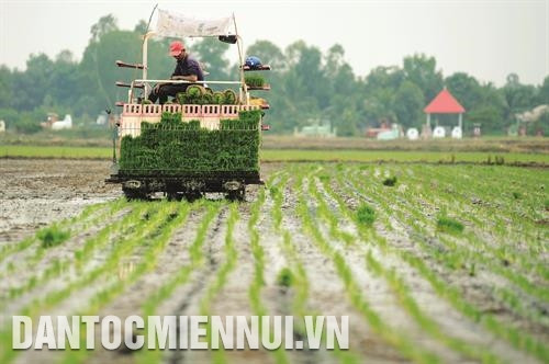 Ông Huỳnh Kỳ Tâm ở ấp Gò Dưa (xã Bình Hiệp, thị xã Kiến Tường) đã hiến khoảng 1500 m2 đất để làm đường xây dựng nông thôn mới; mạnh dạn đầu tư phát triển kinh tế hộ gia đình. Trong ảnh: Mô hình nuôi dê giúp gia đình ông Tâm nâng cao thu nhập, cải thiện đời sống. Ảnh: An Hiếu Nông dân xã Bình Hiệp dự Hội thảo tổng kết mô hình mở rộng ứng dụng công nghệ cao trong nông nghiệp tại Nhà Văn hóa - Thể thao ấp Ông Nhan Đông. Ảnh: An Hiếu Tỉnh Long An chủ trương hình thành vùng sản xuất nông nghiệp công nghệ cao ở khu vực biên giới. Ảnh: An Hiếu