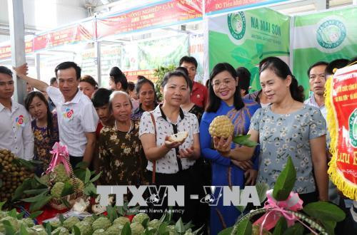 Các đại biểu và du khách thăm gian hàng trưng bày, giới thiệu sản phẩm na Mai Sơn. Ảnh: Nguyễn Cường - TTXVN. Các đại biểu và du khách thăm gian hàng trưng bày, giới thiệu sản phẩm na Mai Sơn. Ảnh: Nguyễn Cường - TTXVN.