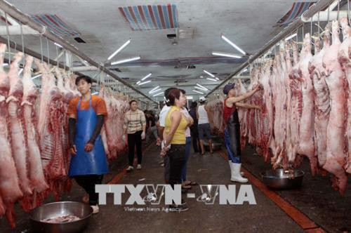 Đoàn công tác liên ngành Thành phố Hồ Chí Minh kiểm tra tình hình hoạt động kinh doanh tại chợ đầu mối Hóc Môn. Ảnh: Thanh Vũ - TTXVN