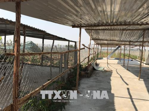 Lều, chòi được dựng tạm bợ ngay tại khu vực đất sản xuất ở phường Thống Nhất thành phố Kon Tum. Ảnh: Cao Nguyên - TTXVN Lều, chòi được dựng tạm bợ ngay tại khu vực đất sản xuất ở phường Thống Nhất thành phố Kon Tum. Ảnh: Cao Nguyên - TTXVN