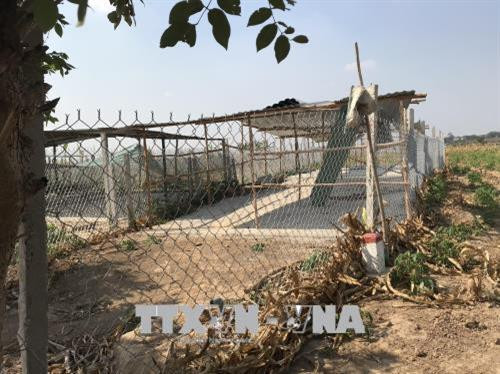 Lều, chòi được dựng tạm bợ ngay tại khu vực đất sản xuất ở phường Thống Nhất thành phố Kon Tum. Ảnh: Cao Nguyên – TTXVN Lều, chòi được dựng tạm bợ ngay tại khu vực đất sản xuất ở phường Thống Nhất thành phố Kon Tum. Ảnh: Cao Nguyên – TTXVN