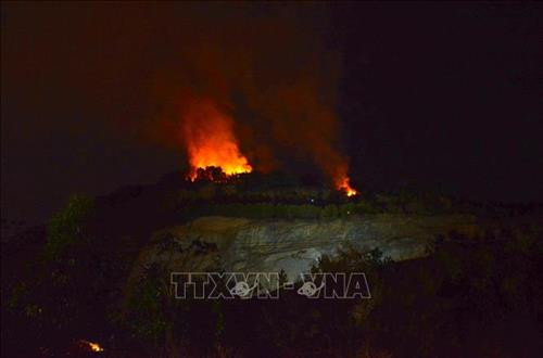 Khẩn trương dập tắt đám cháy rừng. Ảnh: Trịnh Quốc Dũng - TTXVN Khẩn trương dập tắt đám cháy rừng. Ảnh: Trịnh Quốc Dũng - TTXVN
