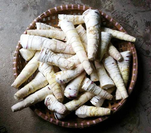 Măng vầu chỉ cần luộc rồi chấm mắm tôm chanh ớt cứ gọi là ngon tuyệt đỉnh