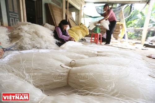 Miến dong Minh Hồng ảnh 8